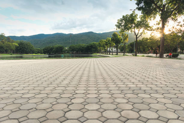 Best Interlocking Driveway Pavers  in Thiells, NY
